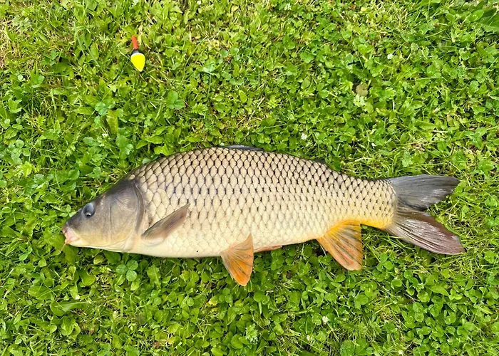 Сasa de vacaciones Domecek Drahuska - Own Fishing